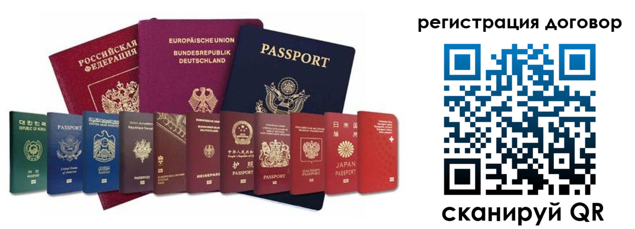 прописка для работы в Истре